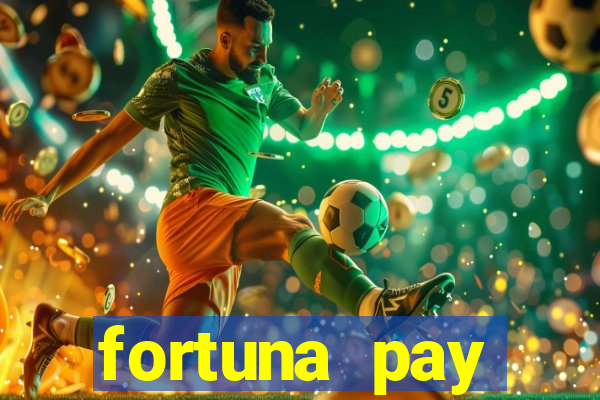 fortuna pay consultoria financeira ltda